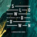 The Slowdown: Poetry & Reflection Daily podcast artwork