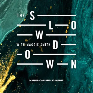 The Slowdown: Poetry & Reflection Daily podcast artwork